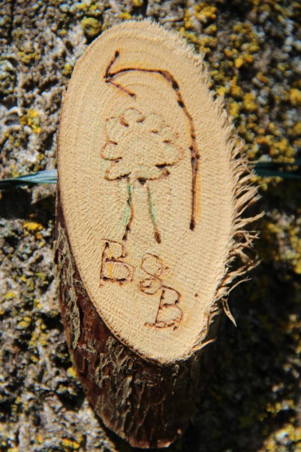 B&B De Prinsenhof Gassel 外观 照片